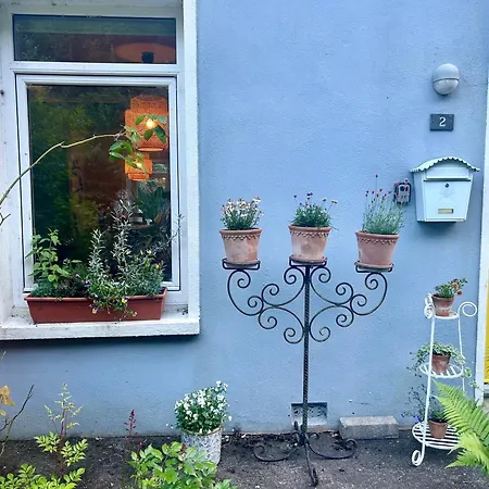 Charming 3-bedroom In With Private Garden * Cork